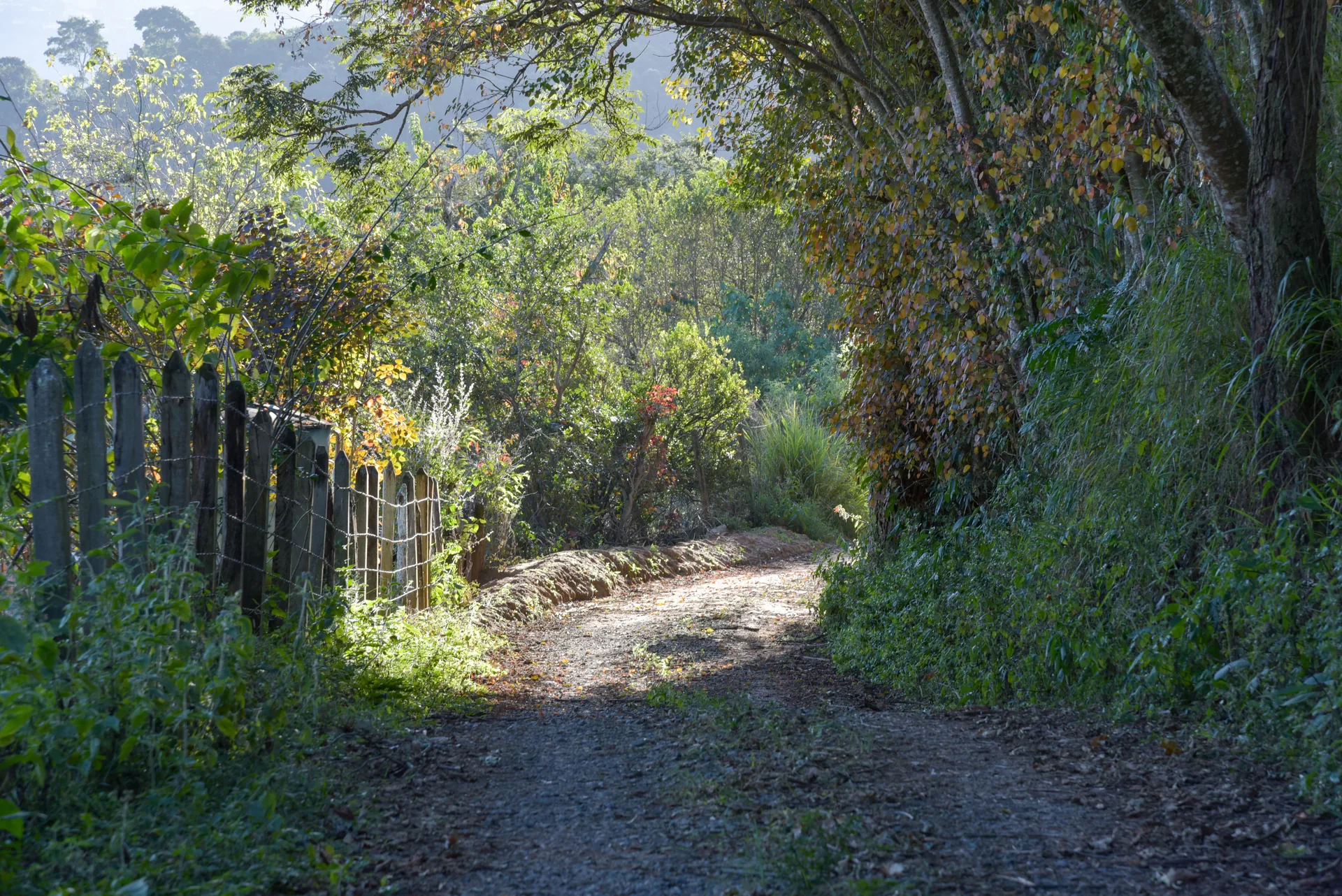 Estrada de terra entre uma cerca de madeira e a mata fechada, com luz filtrada pelas árvores, em Extrema
